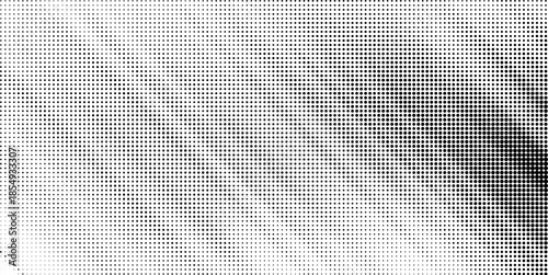An intricate halftone grid pattern in black and white provides a versatile and subtly textured monochromatic background.