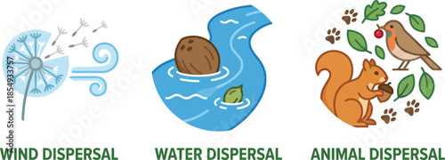Seed dispersal modes diagram showing dandelion wind transport coconut water floating and animal carrying nuts for plant reproduction biology science education aid.