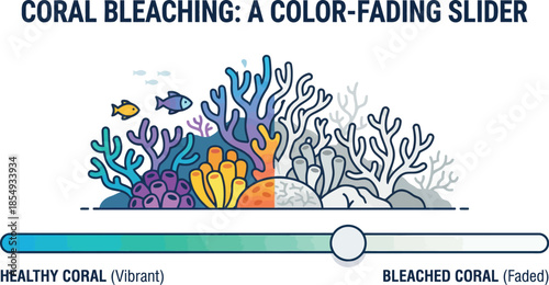 Ocean ecology diagram showing healthy vibrant coral reef fading to white bleached state due to climate change using color slider concept for environmental science.