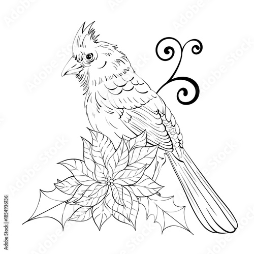 Cardinal Bird Sitting Near Holly Plant Surrounded by Decorative Swirls in Detailed Black Line Art Style Perfect for Coloring Pages and Artistic Projects