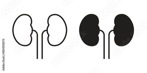 Kidney icons or logo design isolated sign symbol vector illustration - high quality line style vector