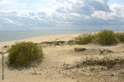 Sand dunes of the Curonian Spit, the Baltic Sea, Kaliningrad Oblast, Russia