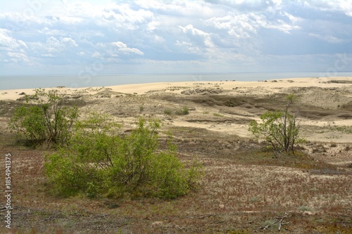 Sand dunes of the Curonian Spit, the Baltic Sea, Kaliningrad Oblast, Russia