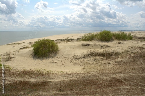 Sand dunes of the Curonian Spit, the Baltic Sea, Kaliningrad Oblast, Russia