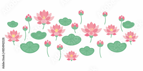 A collection of pink lotus flowers and green leaves a tranquil botanical illustration