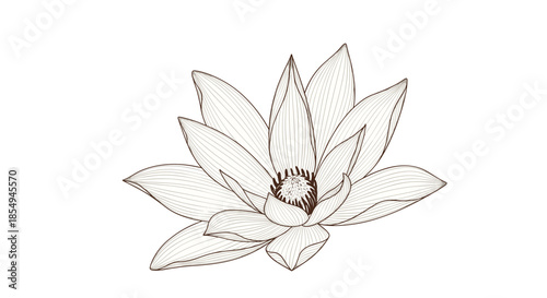 Beautiful lotus flower is depicted in a detailed line art style with many petals and a central seed pod for a coloring page design.