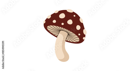Realistic brown mushroom with white spots and a long stem is illustrated in a simple vector style against a pure white background.