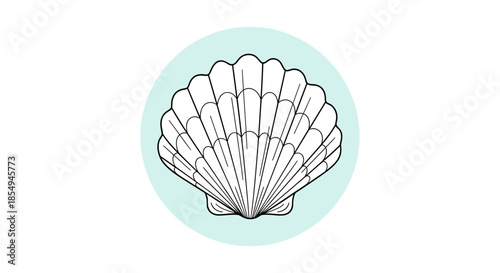 Detailed black and white outline drawing of a sea shell placed within a light blue circle for beach and ocean themes.