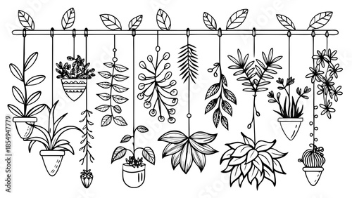 a delicate monochrome illustration showcases a series of hanging plants and potted greenery suspended from a horizontal branch creating a botanical display high quality professional detailed