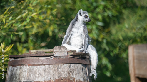 Stukenbrock, Deutschland