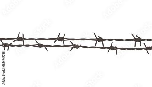 A close up view of two strands of barbed wire with sharp barbs on a plain white background