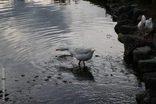 Kawaba Denen Plaza Gunma Japan October 2025 川場田園プラザ