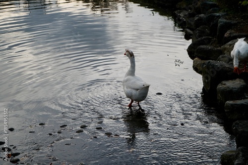 Kawaba Denen Plaza Gunma Japan October 2025 川場田園プラザ
