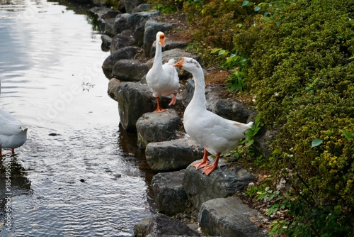 Kawaba Denen Plaza Gunma Japan October 2025 川場田園プラザ