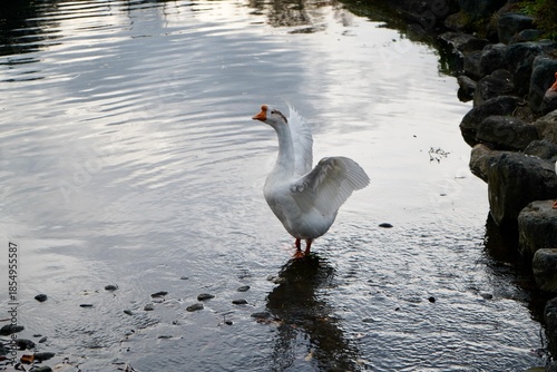 Kawaba Denen Plaza Gunma Japan October 2025 川場田園プラザ