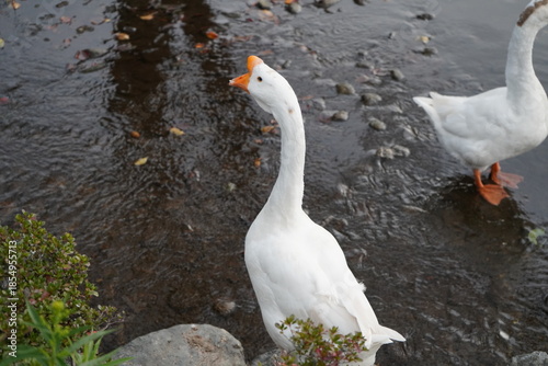 Kawaba Denen Plaza Gunma Japan October 2025 川場田園プラザ