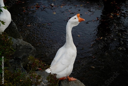Kawaba Denen Plaza Gunma Japan October 2025 川場田園プラザ