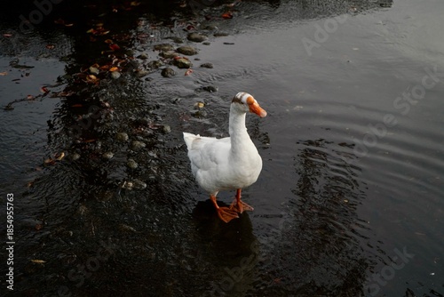 Kawaba Denen Plaza Gunma Japan October 2025 川場田園プラザ