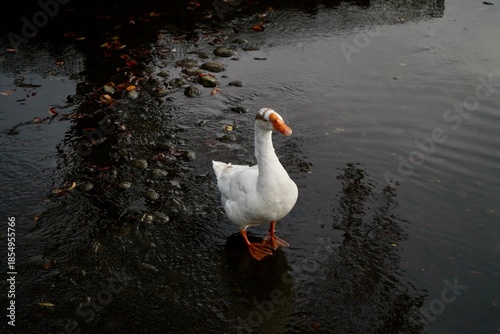 Kawaba Denen Plaza Gunma Japan October 2025 川場田園プラザ