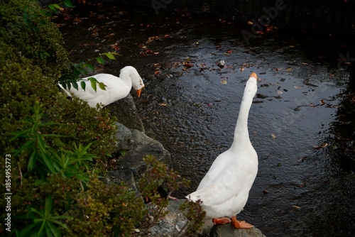 Kawaba Denen Plaza Gunma Japan October 2025 川場田園プラザ