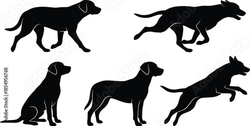 Silhouettes of dogs in motion and posture, black figures, walking, running, sitting, leaping, standing, canine gesture variety, white background, animal movement