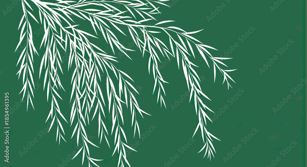 Fototapeta premium White Willow Branches on Green Background, Minimalist Nature Graphic