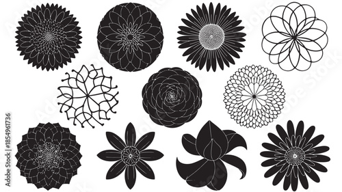 Collection of various black and white flower illustrations displayed on a white background