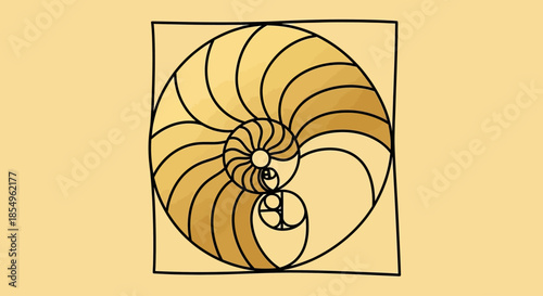 Golden Ratio Spiral Nautilus Shell Fibonacci Sequence Art