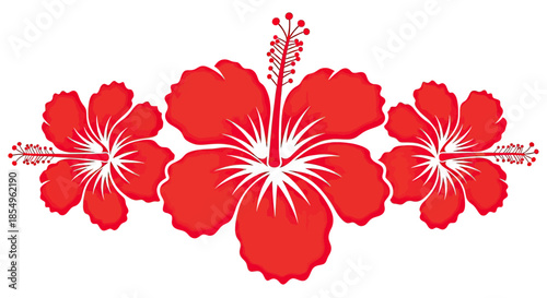 Vibrant Red Hibiscus Flowers Arrangement - Tropical Floral Design