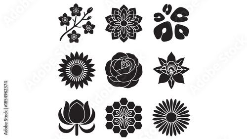 A collection of various flower illustrations displayed in a grid on a white background
