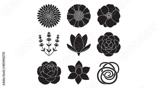 A collection of various flowers and plants illustrated in black and white