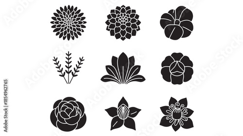 A collection of black and white floral illustrations, showcasing various botanical designs and patterns.