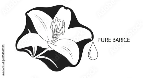 Elegant Lily Flower with Perfume Droplet and Text 'Pure Barice'