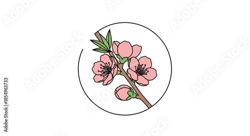 Pink Cherry Blossom Branch with Buds in Circle, Spring Flowers