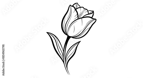 Elegant Tulip Flower Drawing - Black and White Line Art Illustration