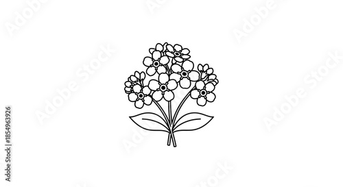 Forget-Me-Not Flower Outline Drawing, Simple Botanical Illustration