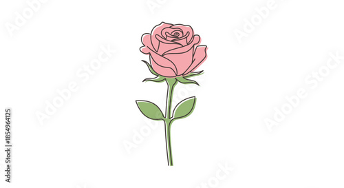 Pink Rose Single Line Drawing Illustration - Minimalist Floral Art
