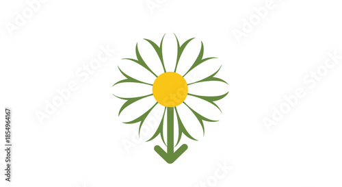 Stylized Daisy Flower with Downward Arrow Symbol