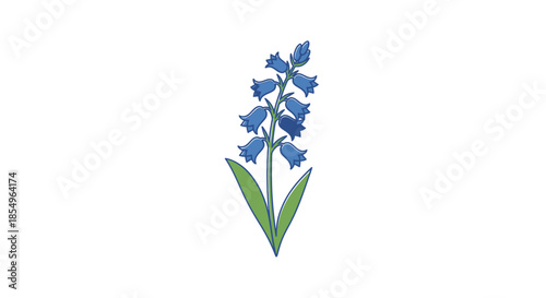 Bluebell Flower Illustration: Delicate Spring Blossom on White Background