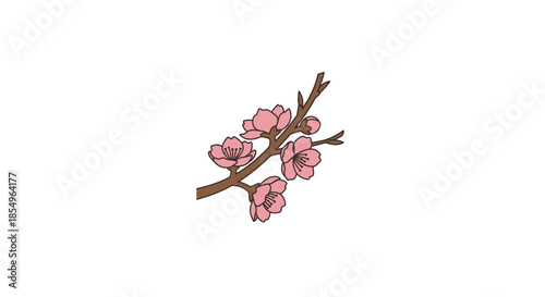 Fotografía Pink Cherry Blossom Branch with Buds on White Background