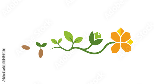 Plant Growth Stages: Seed, Sprout, Leaves, Bud, and Flower Diagram