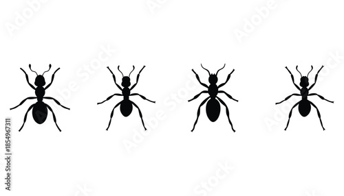 Four black silhouettes of ants in various positions on a white background with detailed body structures