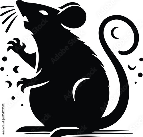 black and white rat