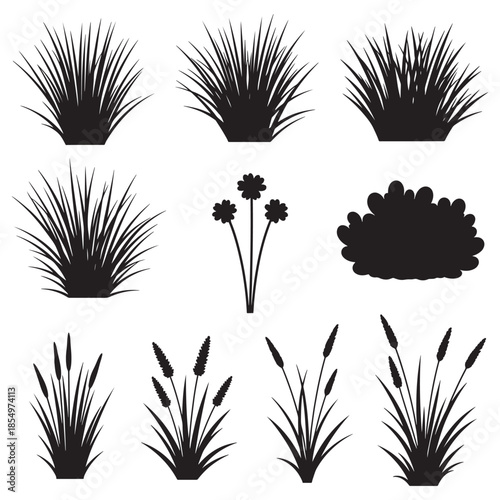 Collection of black silhouette grass, bush, and wild plant elements isolated on white background, ideal for nature design, landscaping illustration, and decorative compositions.