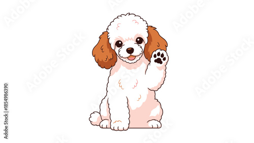 Adorable white and brown Toy Poodle sitting and waving its paw with a friendly and happy smile on its face.