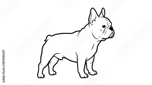 Simple black and white line art of a sturdy French Bulldog standing in profile view against a white background.