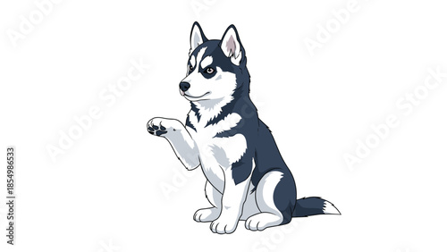 Cute Siberian Husky puppy sitting and raising its paw with a curious and very friendly expression on its face.
