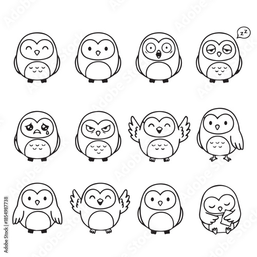 Collection of various owl illustrations in different poses and expressions