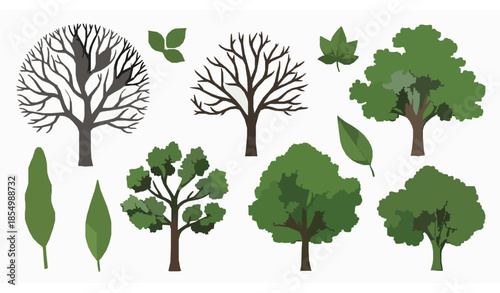 Hand drawn flat tree and leaf vector set with bare and lush green botanical elements isolated on white