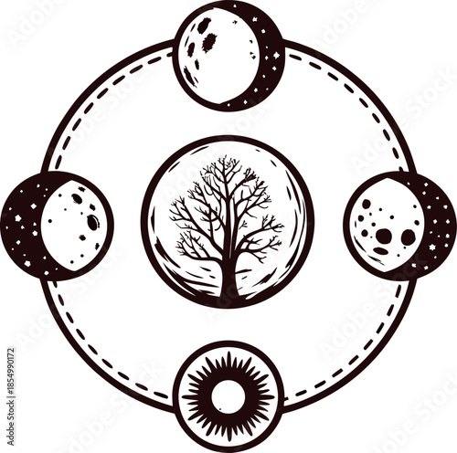 Phases of the moon and sun surrounding leafless tree in minimalist black line astronomy illustration